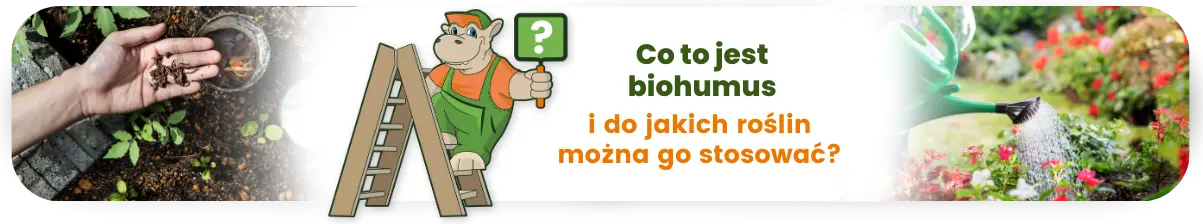 Co to jest biohumus i do jakich roślin go stosować